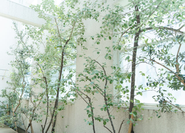 Designing and construction work svg+xml,%3Csvg%20xmlns%3D%22http%3A%2F%2Fwww.w3 - Designing and construction work