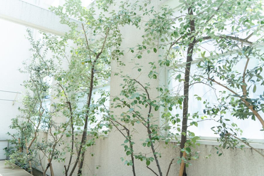 屋外空間 svg+xml,%3Csvg%20xmlns%3D%22http%3A%2F%2Fwww.w3 - 屋外空間