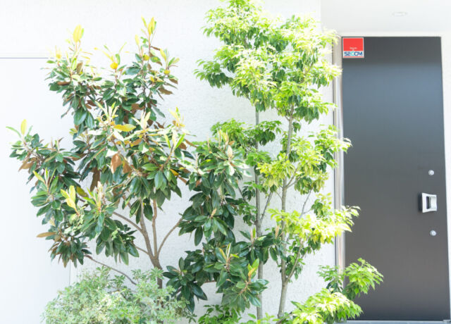 Designing and construction work svg+xml,%3Csvg%20xmlns%3D%22http%3A%2F%2Fwww.w3 - Designing and construction work