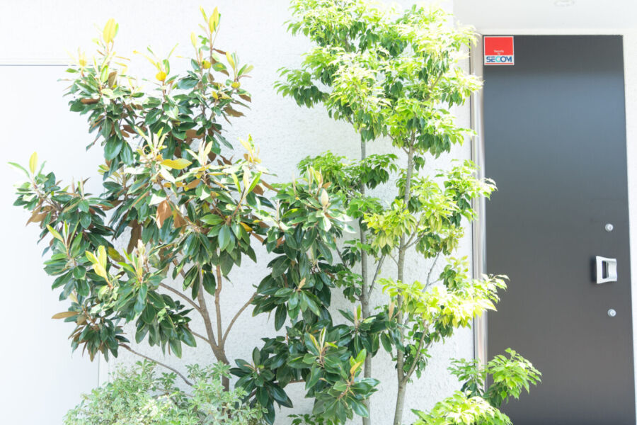 屋外空間 svg+xml,%3Csvg%20xmlns%3D%22http%3A%2F%2Fwww.w3 - 屋外空間