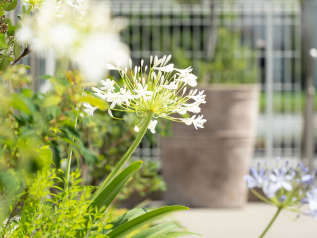 Designing and construction work svg+xml,%3Csvg%20xmlns%3D%22http%3A%2F%2Fwww.w3 - Designing and construction work