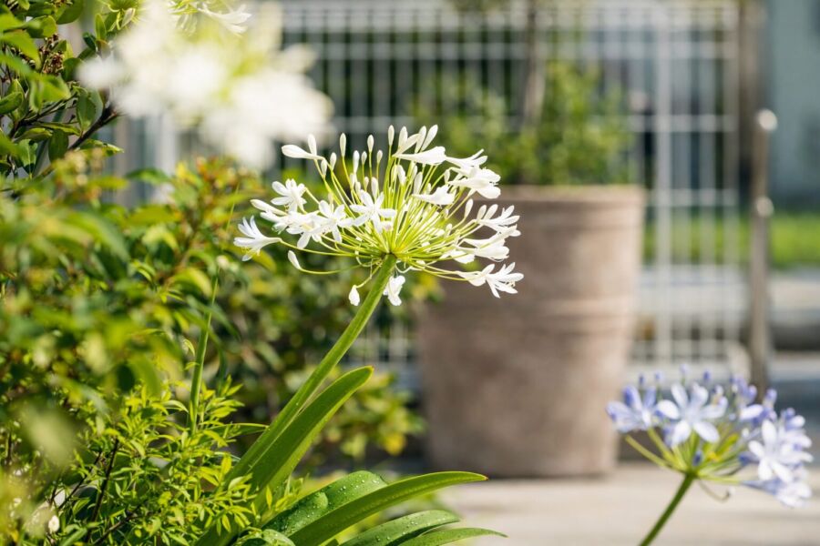 屋外空間 svg+xml,%3Csvg%20xmlns%3D%22http%3A%2F%2Fwww.w3 - 屋外空間