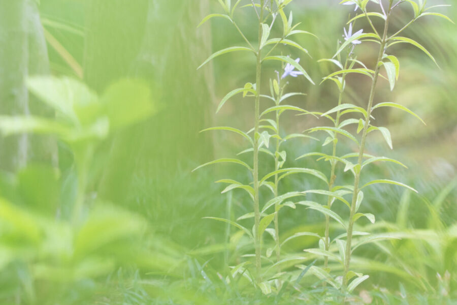 屋外空間 svg+xml,%3Csvg%20xmlns%3D%22http%3A%2F%2Fwww.w3 - 屋外空間