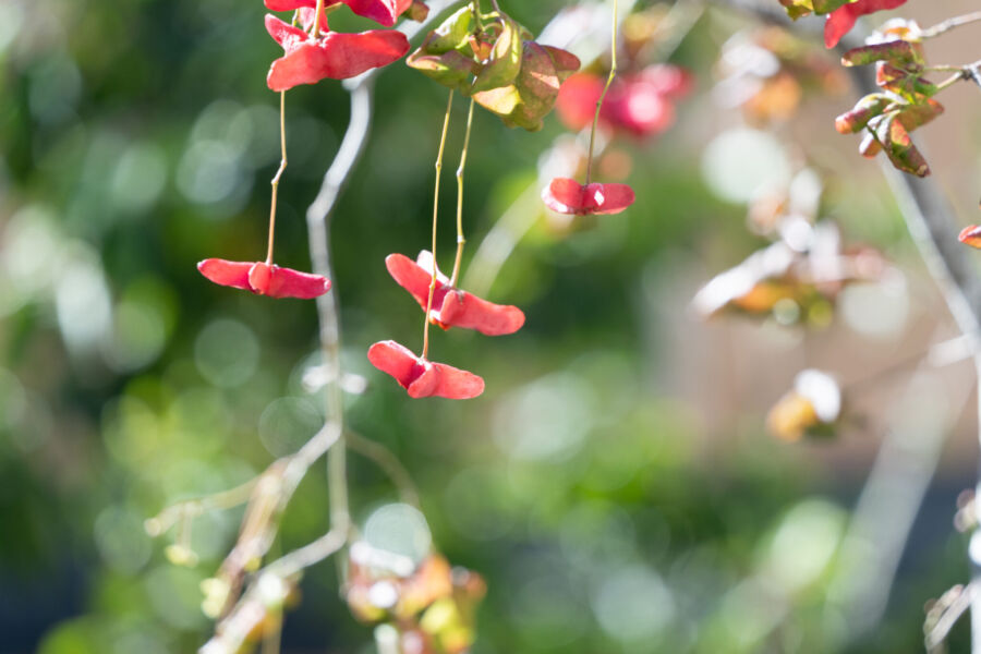 屋外空間 svg+xml,%3Csvg%20xmlns%3D%22http%3A%2F%2Fwww.w3 - 屋外空間