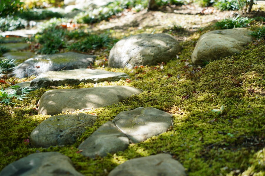 屋外空間 svg+xml,%3Csvg%20xmlns%3D%22http%3A%2F%2Fwww.w3 - 屋外空間