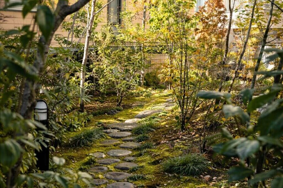 屋外空間 svg+xml,%3Csvg%20xmlns%3D%22http%3A%2F%2Fwww.w3 - 屋外空間