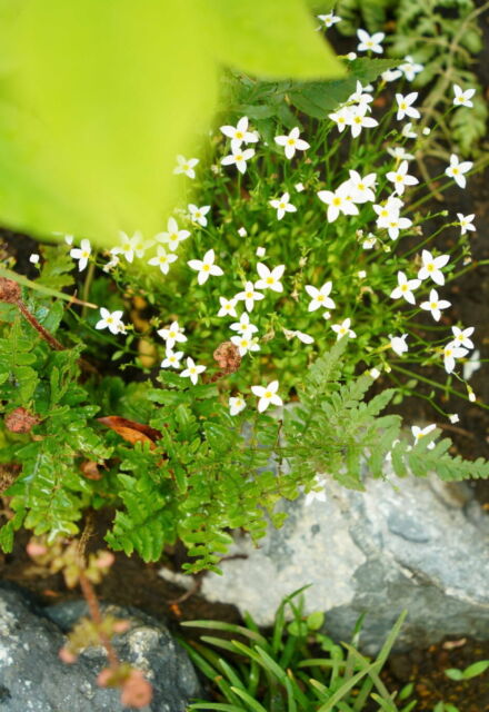 屋外空間 svg+xml,%3Csvg%20xmlns%3D%22http%3A%2F%2Fwww.w3 - 屋外空間