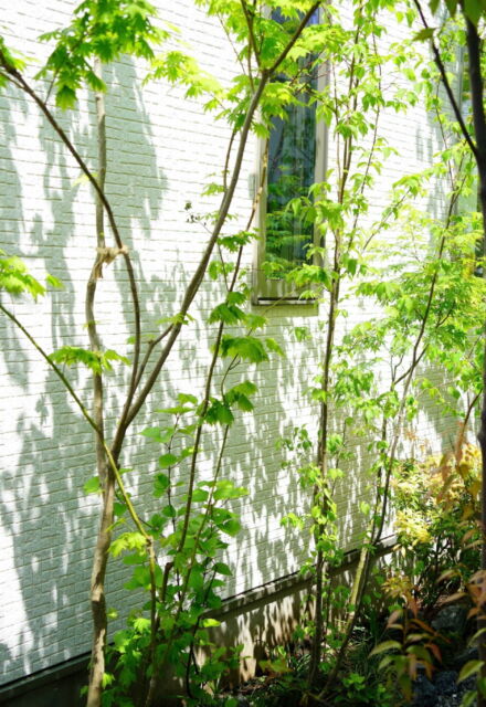 屋外空間 svg+xml,%3Csvg%20xmlns%3D%22http%3A%2F%2Fwww.w3 - 屋外空間