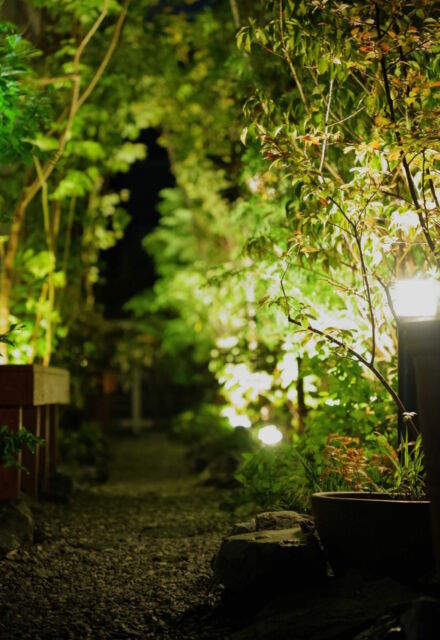 屋外空間 svg+xml,%3Csvg%20xmlns%3D%22http%3A%2F%2Fwww.w3 - 屋外空間