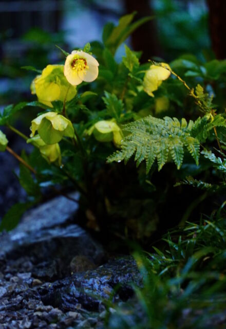 屋外空間 svg+xml,%3Csvg%20xmlns%3D%22http%3A%2F%2Fwww.w3 - 屋外空間