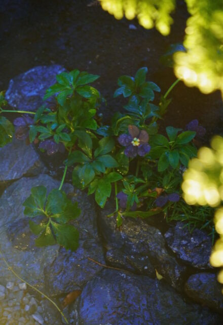 屋外空間 svg+xml,%3Csvg%20xmlns%3D%22http%3A%2F%2Fwww.w3 - 屋外空間