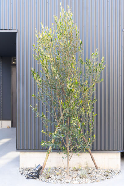 屋外空間 svg+xml,%3Csvg%20xmlns%3D%22http%3A%2F%2Fwww.w3 - 屋外空間