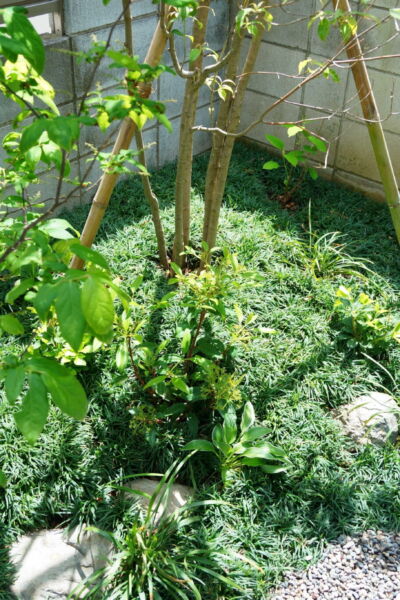 屋外空間 svg+xml,%3Csvg%20xmlns%3D%22http%3A%2F%2Fwww.w3 - 屋外空間