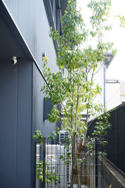 屋外空間 svg+xml,%3Csvg%20xmlns%3D%22http%3A%2F%2Fwww.w3 - 屋外空間